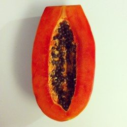 vegan papaya allergies