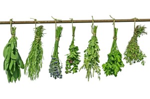 vegan fresh herbs cook batch freeze save time money