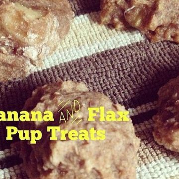 kates banana flax organic vegan dog treats wednesday cafe