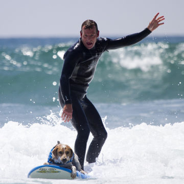 dog human surfing team by nathan rupert