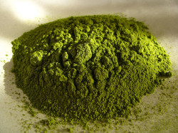 matcha green tea by taylor gabriela