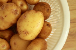 Home-grown Yukon Gold potatoes