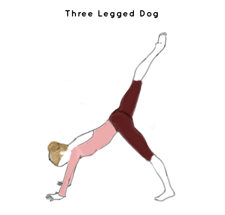 three legged dog copy