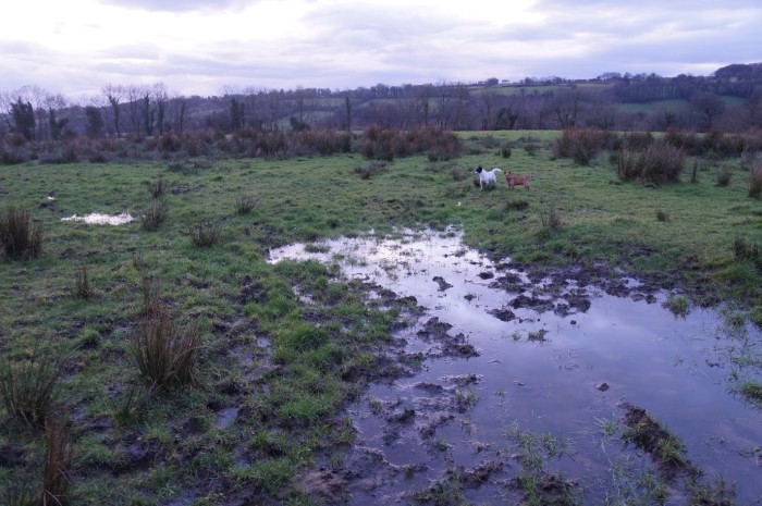 Dispatch: Green Winter in Ireland