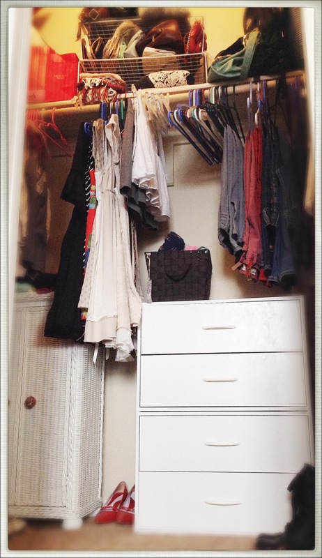 Organized Closet, Eco Clothing