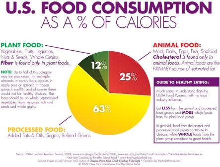 Percent of calories of food categories in the standard American diet, by NY Coalition for Healthy School Food.