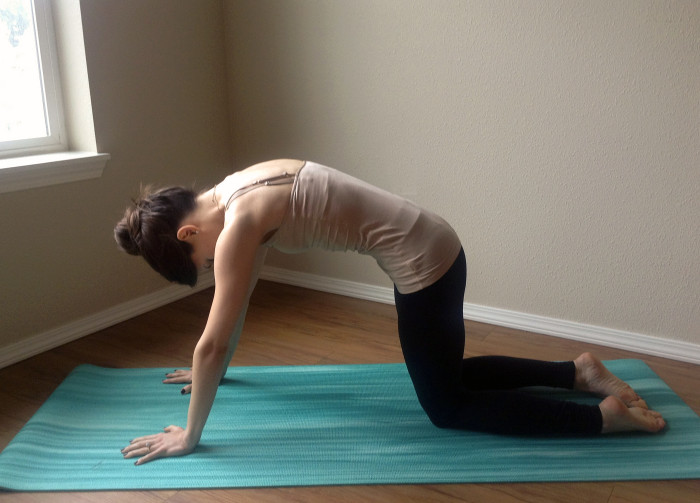 Yoga-Cow_Pose-Balance-Flexibility