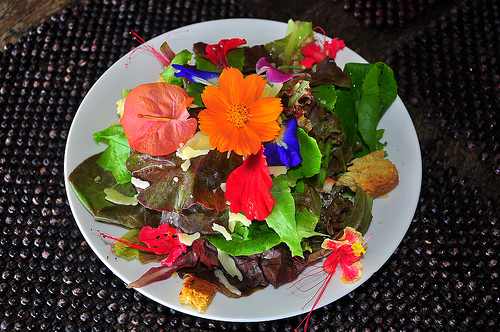 Edible flowers, vegan, nutrition