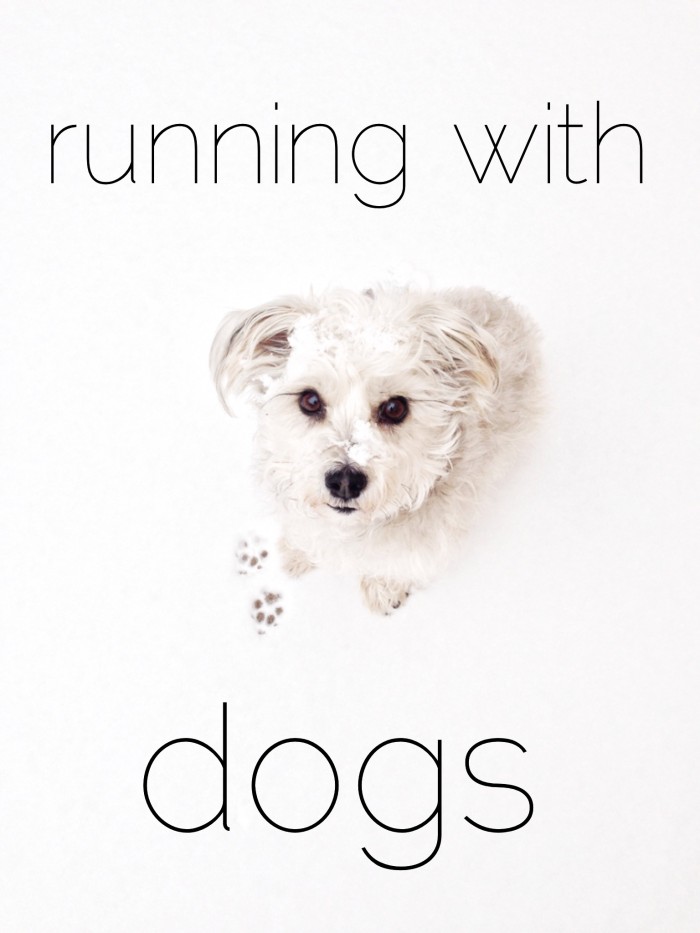 vegan marathon training and running with dogs