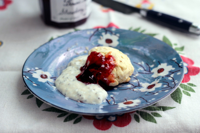 Vegan biscuits with whipped vanilla cream and jam