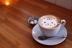 kawaii coffee cute kitty latte art