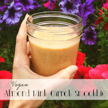 Healthy Snacks: Vegan Almond Mint Carrot Smoothie