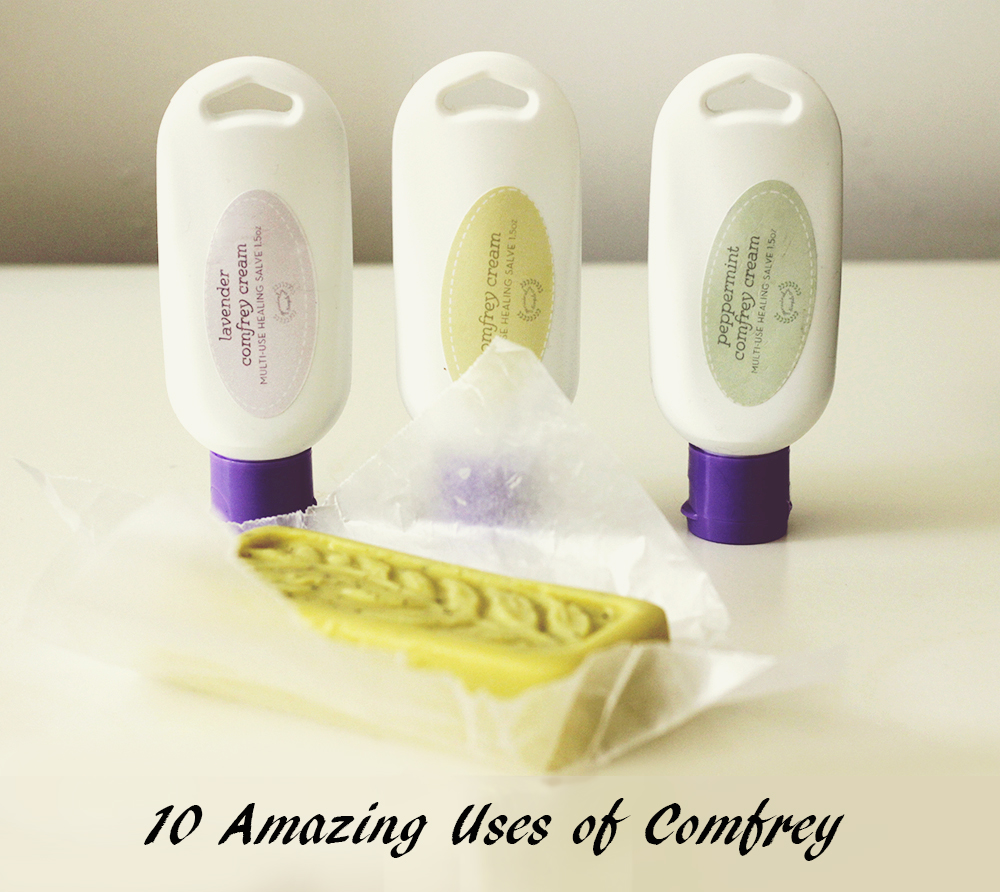 10 Amazing Uses of Comfrey | Peaceful Dumpling