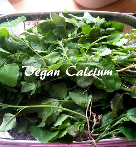 Reader Question: How Do I Get Calcium on a Vegan Diet?