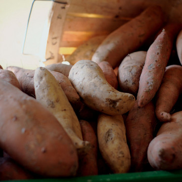 5 Food Scraps You Didn't Know You Could Eat - Sweet Potatoes