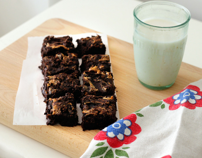 Vegan Chocolate Almond Butter Protein Brownies