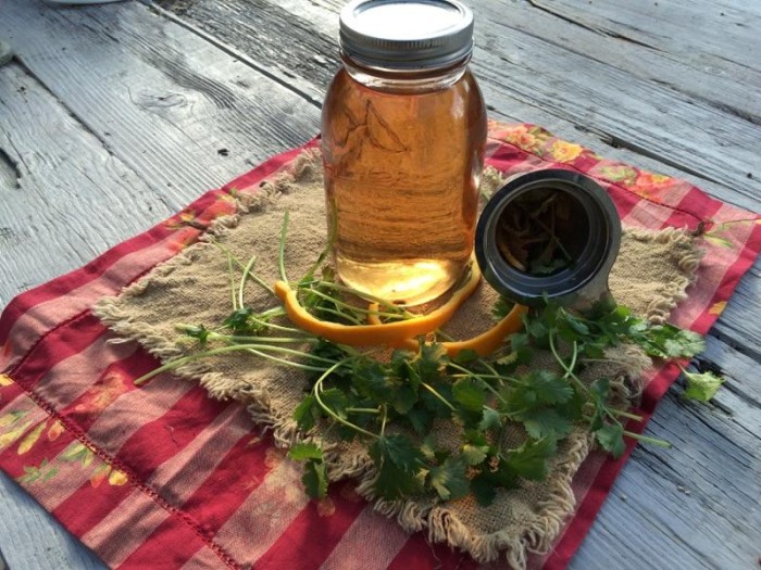 How to Make Herb Infusions + Chamomile Infusion for Anxiety