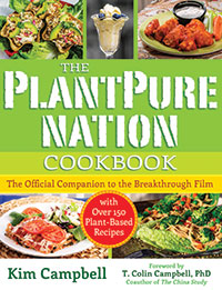 Book Review: PlantPure Nation + Mushroom stroganoff recipe