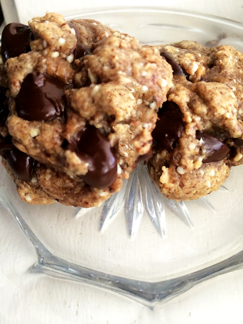 Vegan Paleo Chocolate Chip Cookie