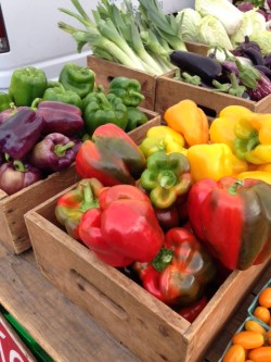 produce_farmers_market_boston