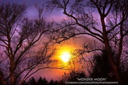 Greg Diesel Walck - Wonder Moon from Storybook - Peaceful Moon