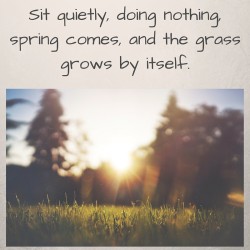 Sit quietly, doing nothing, spring comes, and the grass grows by itself.