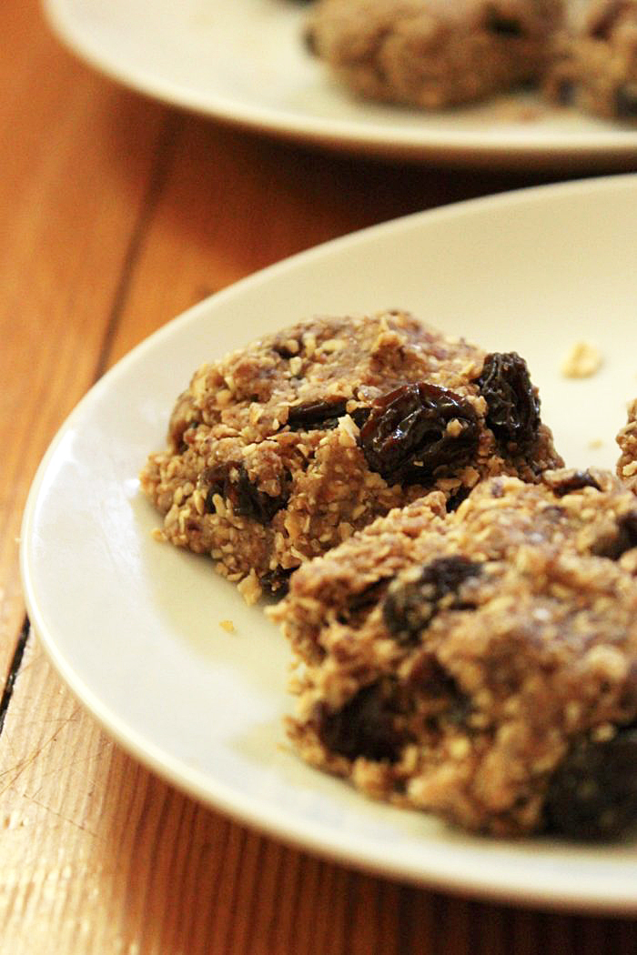 Vegan Dessert Recipes: No-Bake Oatmeal Raisin Cookies
