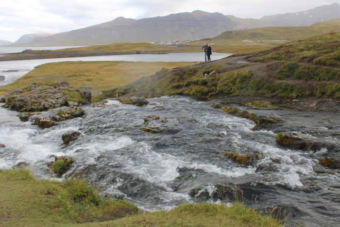 Dispatch: Wild Beauty - Vegan in Iceland