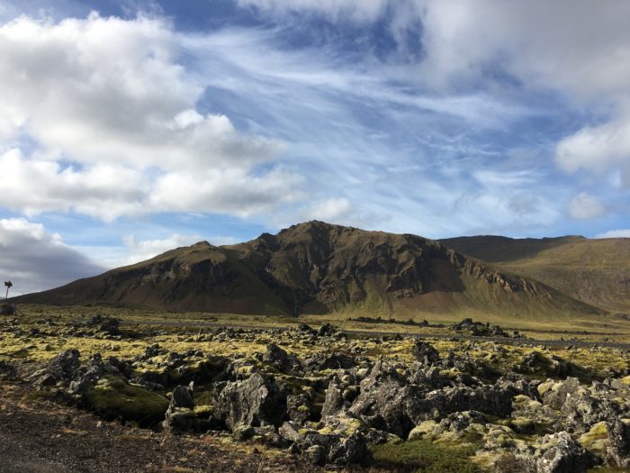 Dispatch: Wild Beauty - Vegan in Iceland