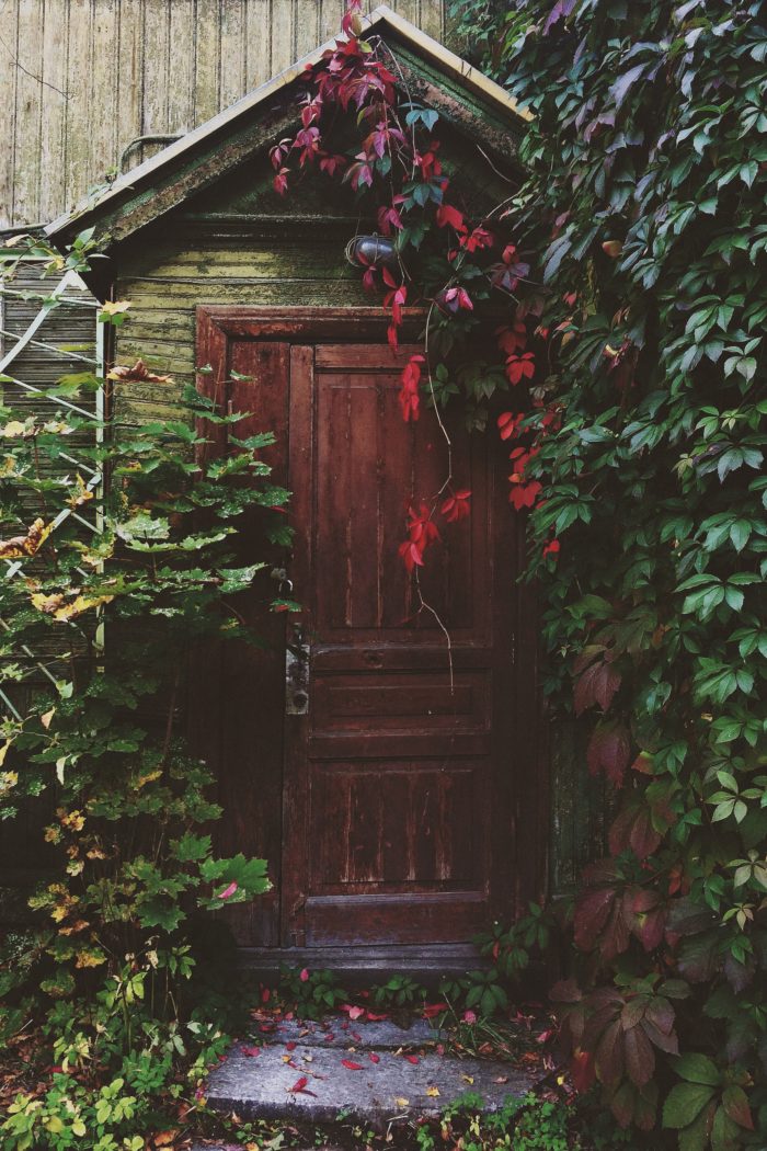 fall_door