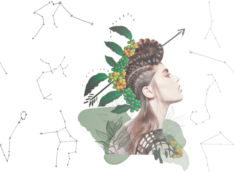 What's Your Botanical Horoscope for December 2016?