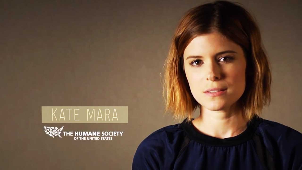 3 Reasons Kate Mara is Passionate about Veganism