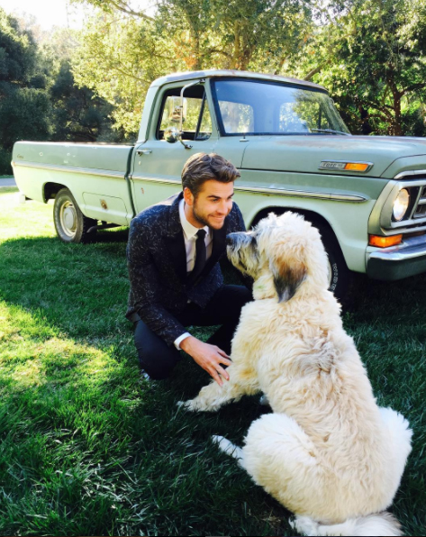 Liam Hemsworth Is All The Vegan Inspiration Your Man Needs