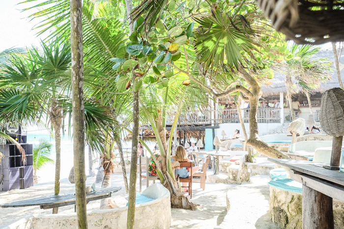 How to Be an Eco-Friendly Traveler in Tulum, Mexico
