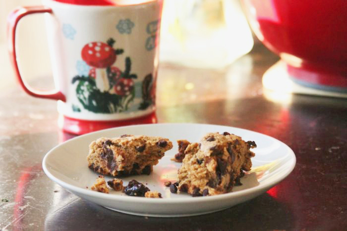 Vegan Breakfast Recipes: Chocolate Cherry Biscotti