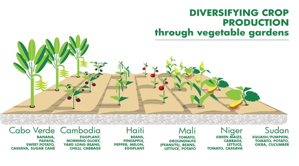 diversifying-crops