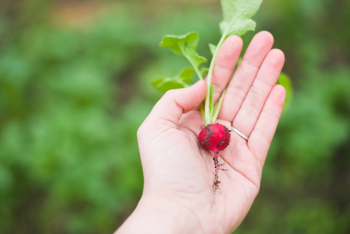 Food Insecurity and Climate Chnage