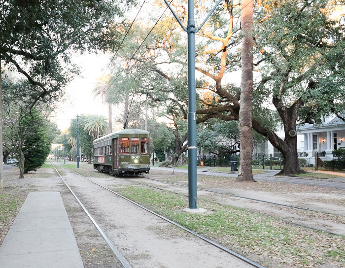Sustainable Travel in New Orleans