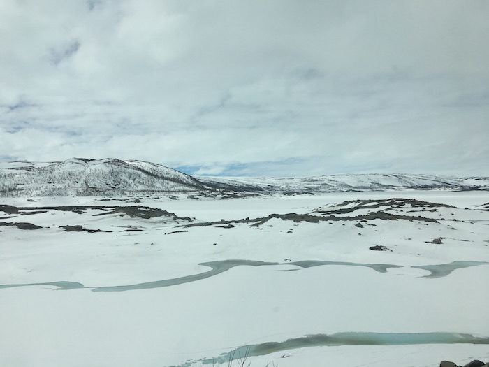 Train Ride from Oslo to Bergen