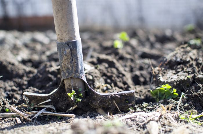 Green Your Lawn With These 5 Sustainable Gardening Tips