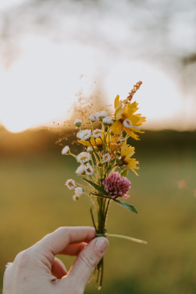 a hand holds a posy of wildflowers against a golden field