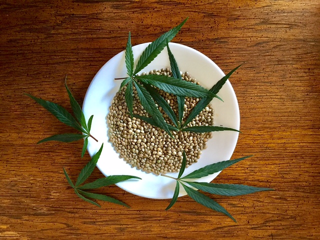 From Cutting Pollution To Boosting Health, 9 Ways Hemp Can Heal The World