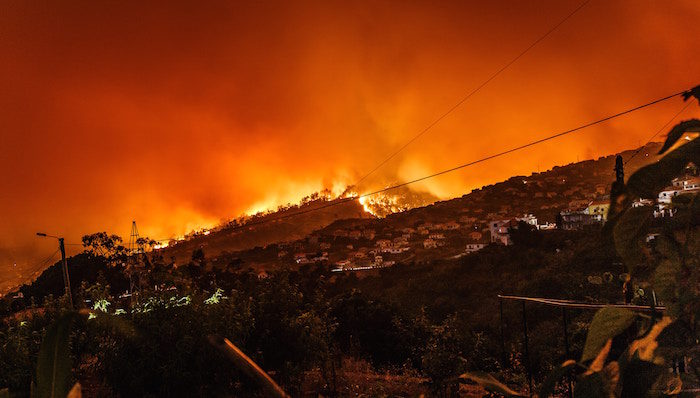 Wildfire in Estreito de Calheta in Portugal