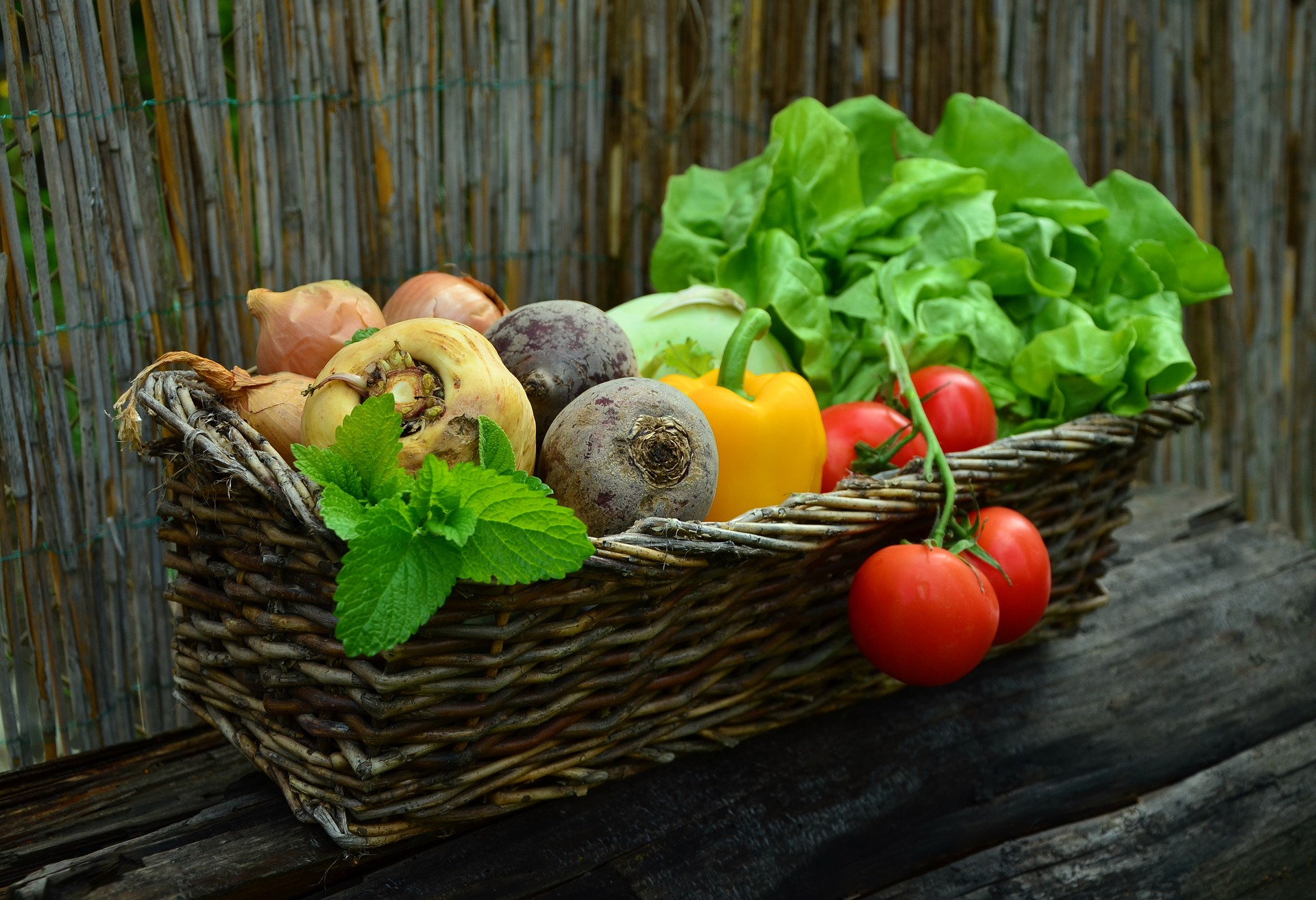 Zero Waste Grocery Store