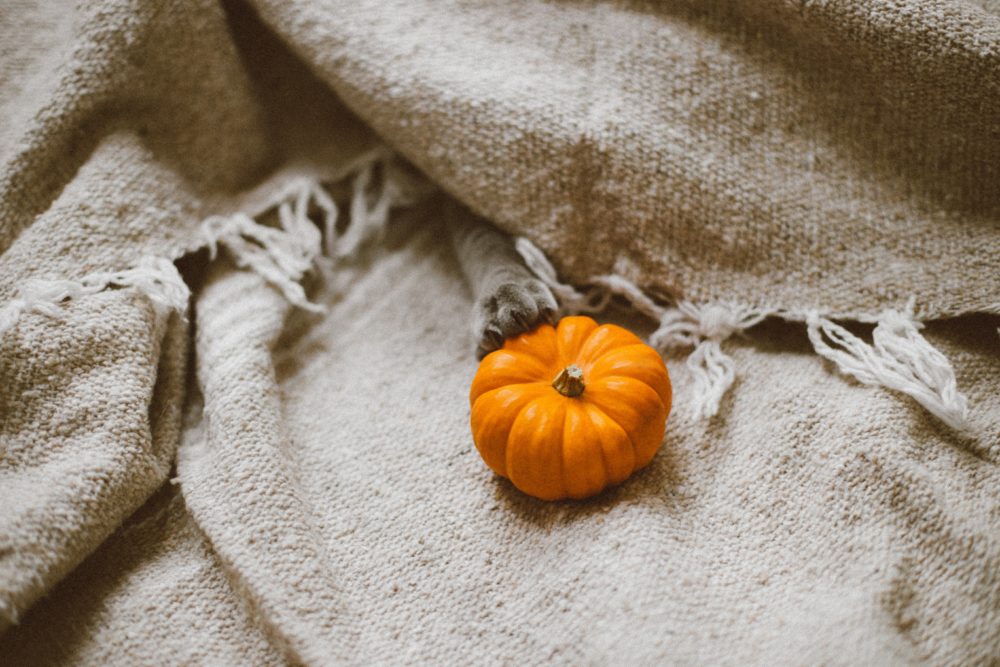 PSA: Pumpkin Is Amazing For Your Skin—Just Another Reason To Be Obsessed! 
