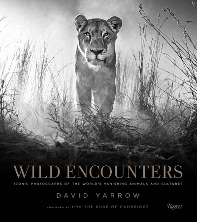 David Yarrow - Wild Encounters, 2016