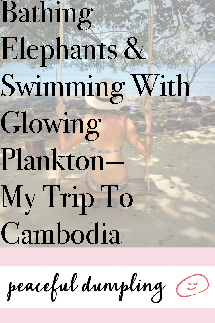 Bathing Elephants & Swimming With Glowing Plankton—My 10-Day Trip To Cambodia