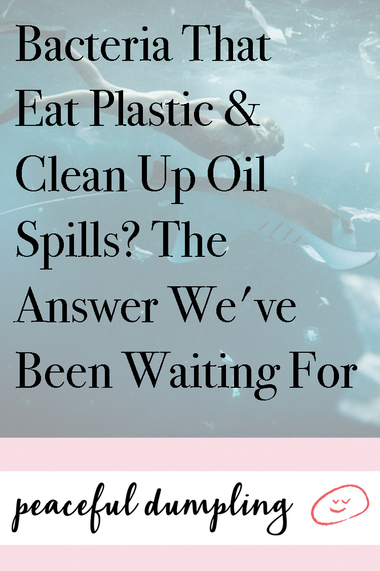 Bacteria That Eat Plastic & Clean Up Oil Spills? The Answer We've Been Waiting For