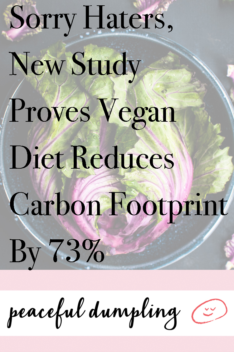 Sorry Haters, New Study Proves Vegan Diet Reduces Carbon Footprint By 73%