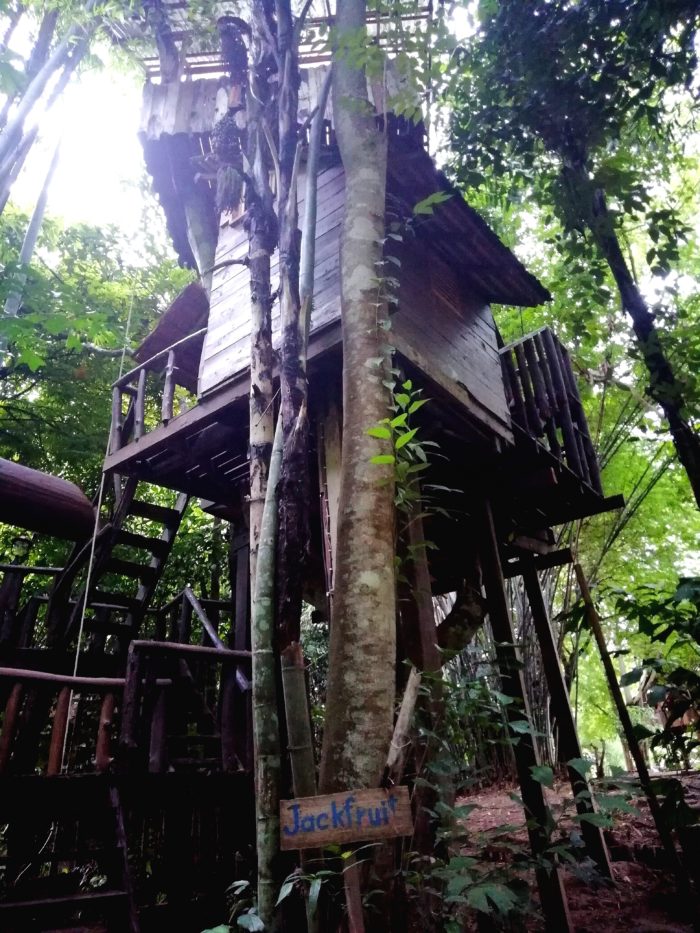 Treehouses, Islands & Surprise Encounters—My Magical Adventure in Thailand